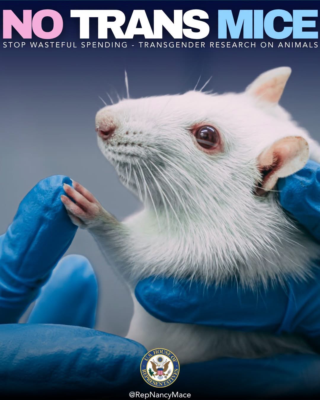 Congress Escalates Fight Against Transgender Mice